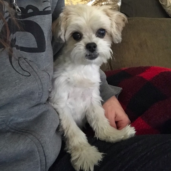 Meet your Posher, Cyn - Picture 2 of 3